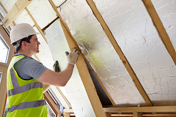 Best Insulation Maintenance and Repair in Lacy Lakeview, TX