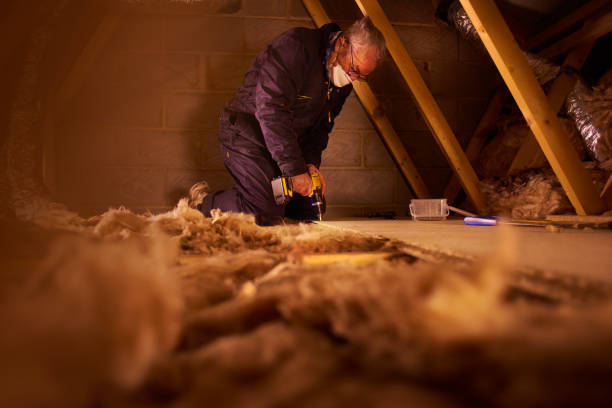 Best Specialized Insulation Services in Lacy Lakeview, TX