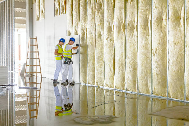 Types of Insulation We Offer in Lacy Lakeview, TX